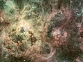 A Nebulosa da Tarántula pode ser vista no centro desta imaxe.
