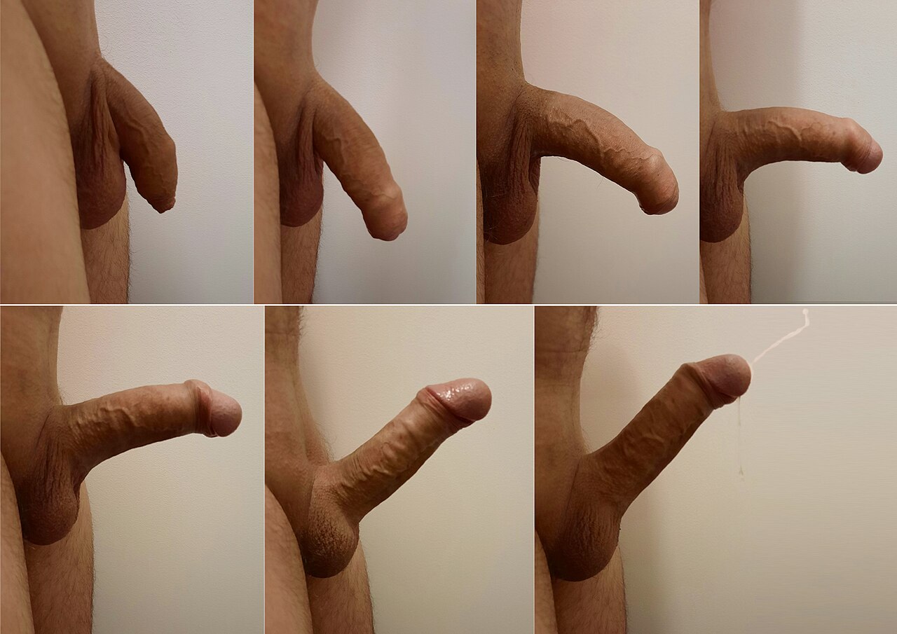 Photo de penis en erection