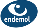 Endemol Shine Italy: Generalità, Loghi, Programmi realizzati in Italia