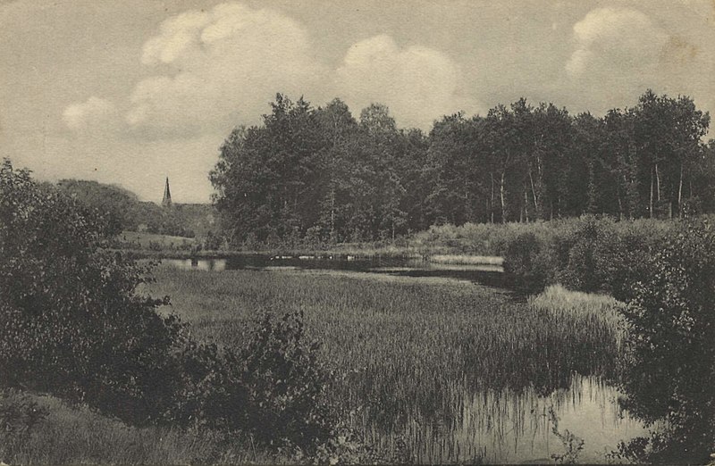 File:Fallingbostel, Niedersachsen - Aus der Heide (Zeno Ansichtskarten).jpg