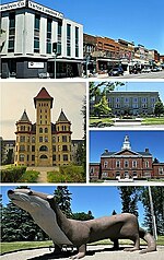 Miniatura para Fergus Falls (Minnesota)