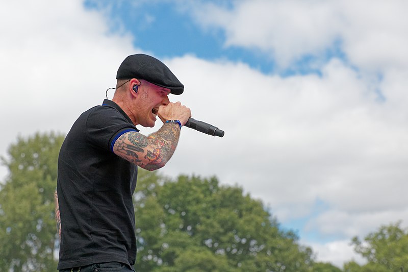 File:Festival des Vieilles Charrues 2017 - Dropkick Murphys - 084.jpg