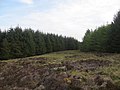 Miniatuur voor Bestand:Firebreak in Camster Forest - geograph.org.uk - 2968623.jpg