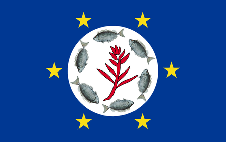 Tập_tin:Flag_of_Airai_State.png