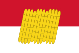 Vlag