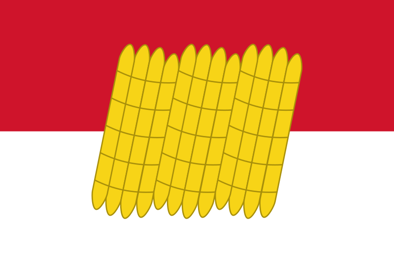 File:Flag of Dorogobuzh (Smolensk oblast).svg