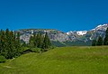 * Nomination Meadow in Conn near Flims, Switzerland --Domob 09:00, 15 June 2021 (UTC) * Promotion  Support Good quality. --Commonists 18:13, 15 June 2021 (UTC)