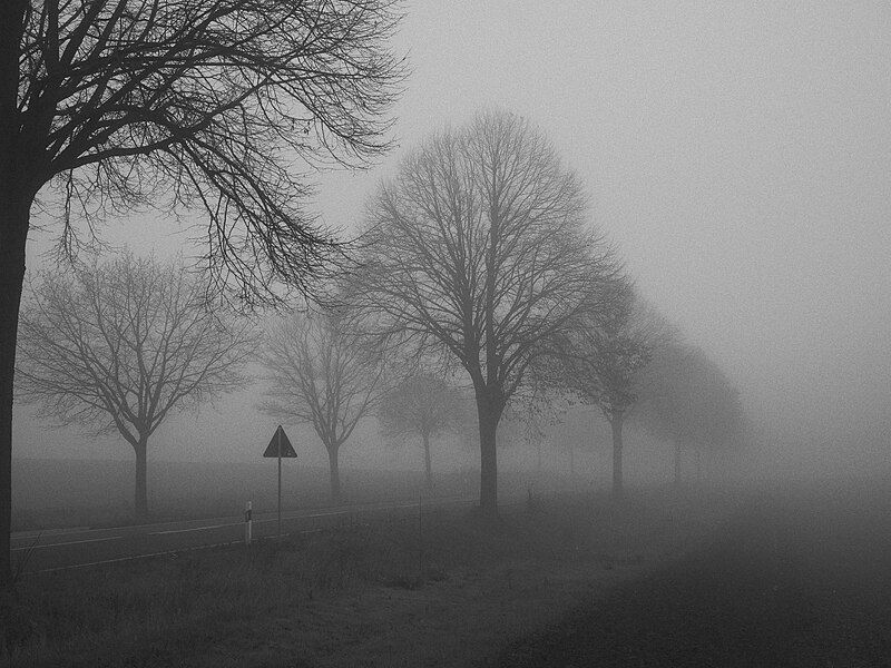 File:Fog - Flickr - senpatientulo.jpg