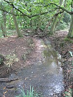 Folly Brook