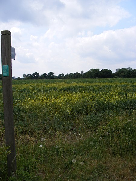 File:Footpath to Primrose Farm - geograph.org.uk - 2448877.jpg