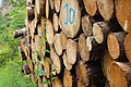 * Nomination: Woodpiles in Bavaria (Fichtelgebirge) near Waldstein --Geoprofi Lars 11:35, 18 January 2021 (UTC) * * Review needed