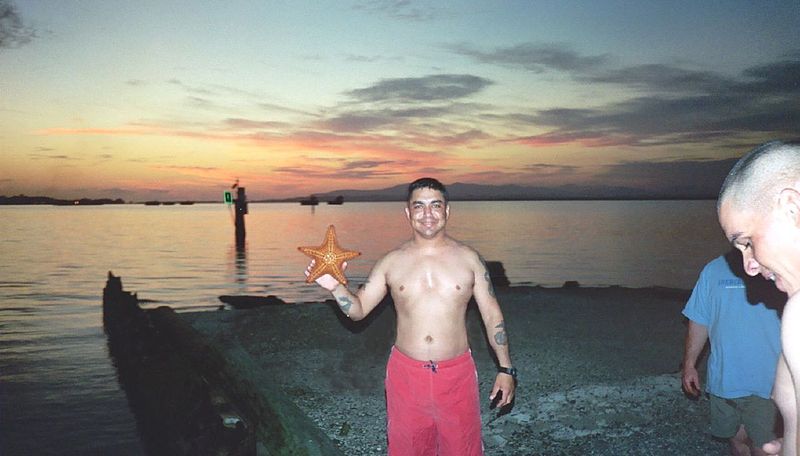 File:Found a starfish at Guantanamo.jpg