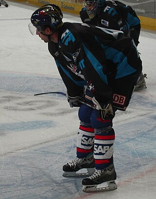 <span class="mw-page-title-main">François Méthot</span> Canadian ice hockey player