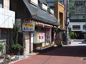 風俗店: 概要, 立地, 営業内容