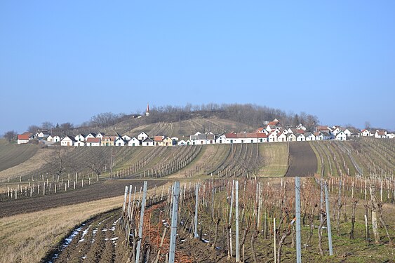 Wildendürnbach, "Galgenberg" in winter