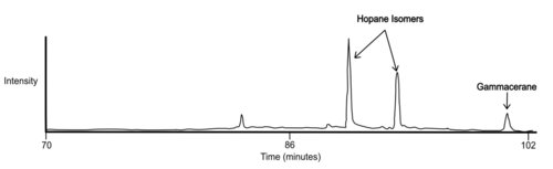 A MS/MS chromatogram of the 412 --> 191 m/z transition that highlights two hopane isomers that have a molecular ion of 412 and gammacerane. Figure adapted from Summons, 1988. Gammacerane Chromatogram from Summons, 1988.png