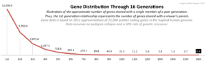 Consanguinity