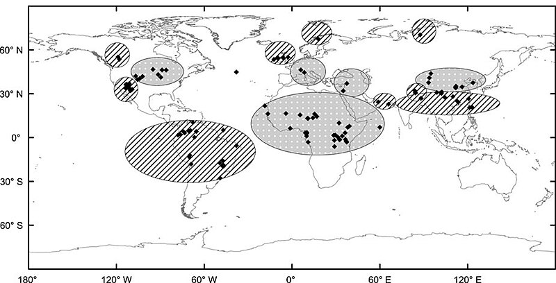 File:Global distribution of the Bond Holocene IRD Event 3 also named 4.2 kiloyear event. The hatched areas were affected by wet conditions or flooding and the dotted areas by drought or dust storms.jpg