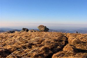 Grassy Ridge Bald in the Roan Highlands Grassyridgebald-north1.jpg