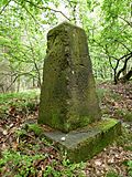 Saxon-Prussian boundary stone: Pilar No. 8 (left Elbe) and five runner stones