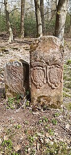 Border stone Hoher Stein (Odenwald) 06.jpg