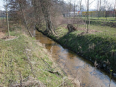 Guetersloh schlangenbach01