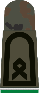 File:HA OS5 33a Oberfähnrich PzGren.svg