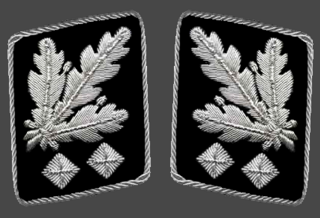 <i><i lang="de" title="German language text">Obergruppenführer</i></i> Nazi party paramilitary rank