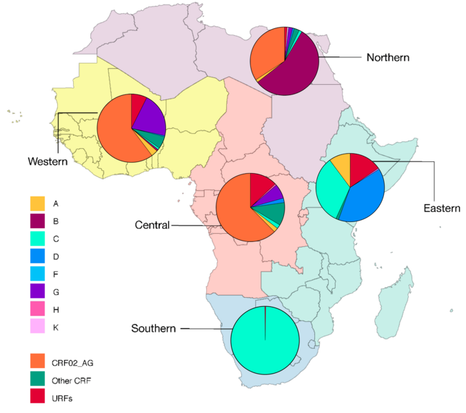 File:HIV-1 subtype prevalence in Africa 2015–2020.png