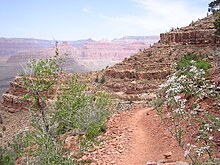 An image from the Grand Canyon's hermit trail, one of the trails used as an inspiration for the book. Hermit-trail.jpg
