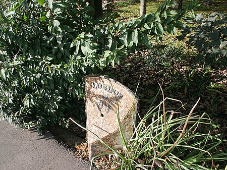 Hop Pole Milepost Geograph 588841 by Kate Jewell