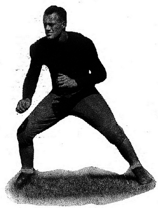 <span class="mw-page-title-main">Howie Auer</span> American football player (1908–1985)