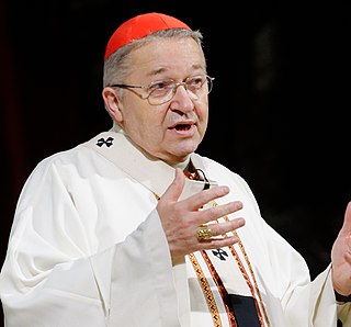 <span class="mw-page-title-main">André Vingt-Trois</span> French cardinal of the Catholic Church (born 1942)