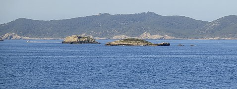 Illots d'Eivissa (Pitiüses) 10.jpg