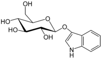 Иллюстративное изображение статьи Indican