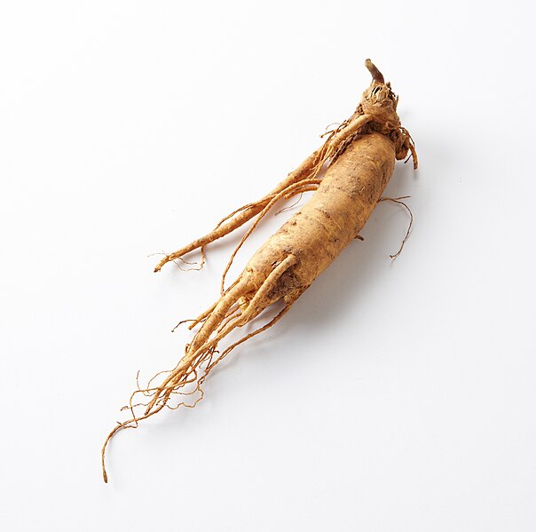 File:Insam (ginseng).jpg