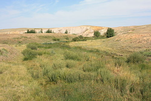 Домбаровский. Село Домбаровка Оренбургской области. Река Камсак Домбаровский район. Камсак Оренбургская область. Река Камсак в Оренбургской.