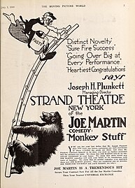 Joe Martin (orangutan) - Wikipedia