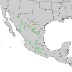 Natural range of Juniperus flaccida