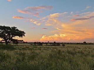 <span class="mw-page-title-main">ǀXam and ǂKhomani heartland</span> UNESCO World Heritage Site in Northern Cape, South Africa