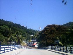 Kanamala pathanamthitta bridge.jpg