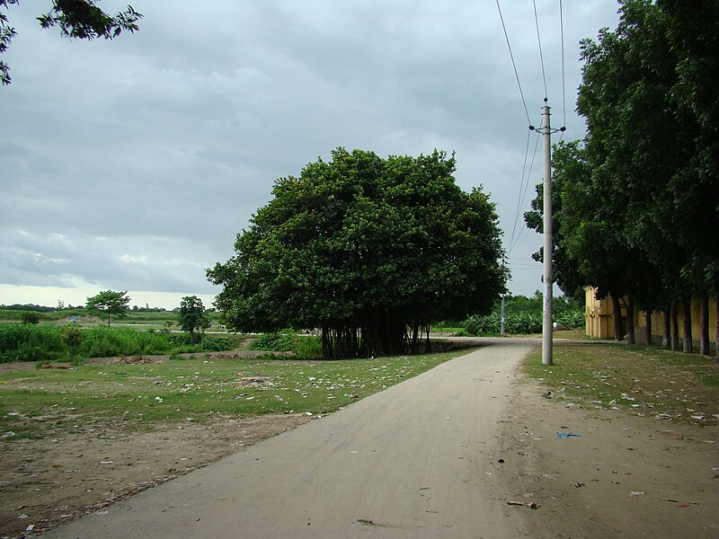 File:Kantaji Temple Dinajpur Bangladesh (30).JPG