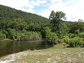 <span class="mw-page-title-main">Koh Rong Sanloem</span> Cambodian island in the Gulf of Thailand