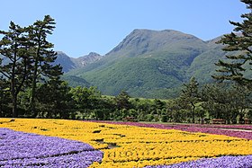 くじゅう花公園