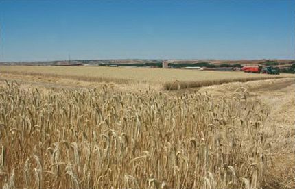 Ayllón (comarca Sepúlveda - Segòvia), 27 de juliol de 2007