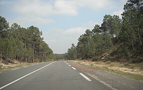 Route D6 de Lacanau-Océan.