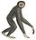 Le gibbon (fundal alb) .jpg