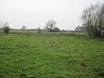 Lockington Marshes