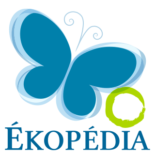 File:Logo ekopedia.svg