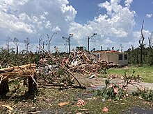 Downed trees and a damaged home